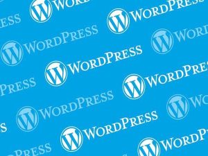 wordpress-nedir